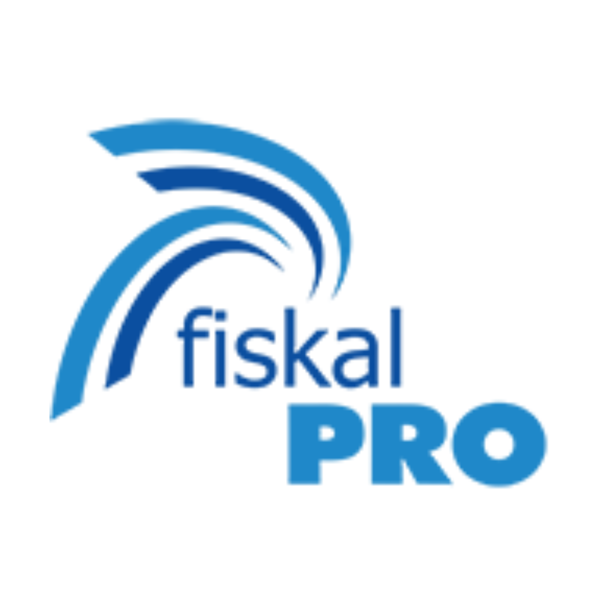 Fiscal Pro